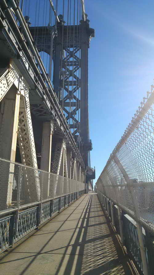 NYC_2017-11-26 12-28-34_CELL_20171126_122835